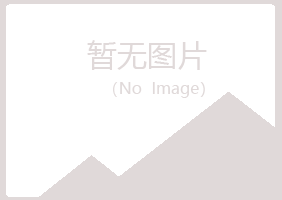 青岛黄岛代梅咨询有限公司